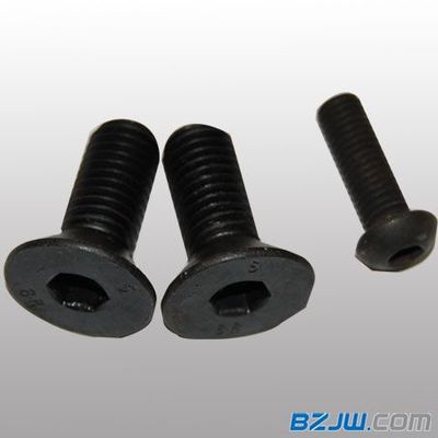 【供應訂做沉頭螺栓,沉頭螺栓批發,沉頭螺栓加工】_供應訂做沉頭螺栓,沉頭螺栓批發,沉頭螺栓加工價格_供應訂做沉頭螺栓,沉頭螺栓批發,沉頭螺栓加工廠家-到中華標準件網上海站